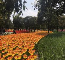 国际慢城太寺垭森林公园22