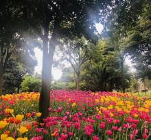 国际慢城太寺垭森林公园21