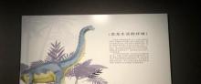 永川博物馆12
