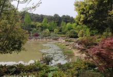 铁山坪森林公园5
