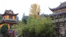 铁山坪森林公园13
