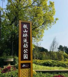 铁山坪森林公园8