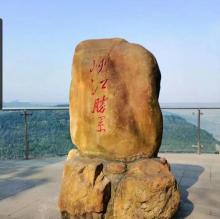 铁山坪森林公园9
