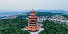 铁山坪森林公园1