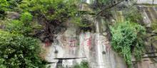 铁山坪森林公园18