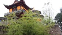 铁山坪森林公园16
