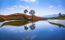 南湖多彩植物园18