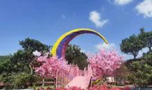 南湖多彩植物园9
