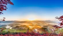 南湖多彩植物园15
