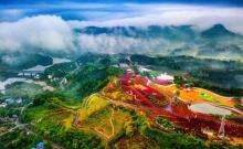 南湖多彩植物园2