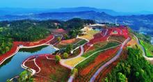 南湖多彩植物园16