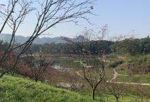 南湖多彩植物园29