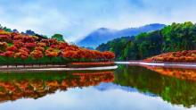 南湖多彩植物园1