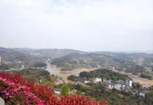 南湖多彩植物园23