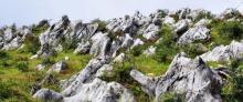 重庆千野草场景区5