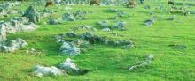 重庆千野草场景区4