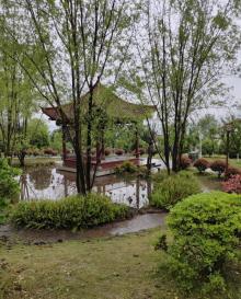 刘伯承同志纪念馆10