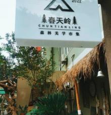 春天岭森林美学集市4