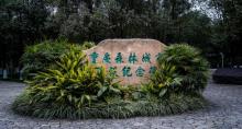 照母山森林公园5