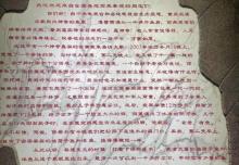 神奇鱼泉3