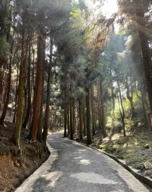 摩围山景区6