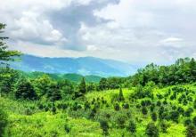 摩围山景区1