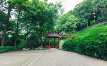 枇杷山公园5