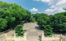枇杷山公园2