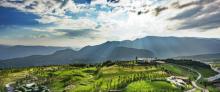懒坝国际禅境艺术度假区6