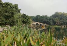 碧津公园15