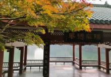 碧津公园13