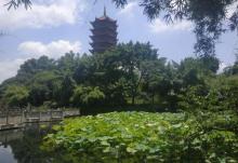 碧津公园16