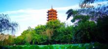 碧津公园21