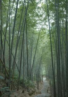 西山公园1