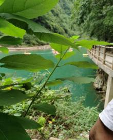 阿依河漂流2