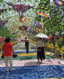 天眼洞花岭13