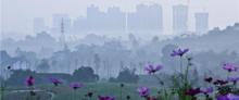 铜梁奇彩梦园9