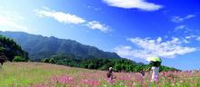 铜梁奇彩梦园5