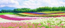 铜梁奇彩梦园4