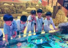 长嘉汇?海洋乐园4