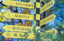 北仓文创街区12