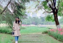熊婆婆的花园14