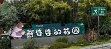 熊婆婆的花园4