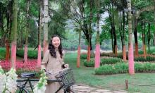 熊婆婆的花园16