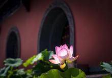 华岩寺3