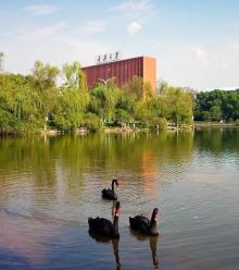 重庆大学6