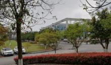 重庆大学13