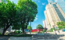 重庆国泰艺术中心30