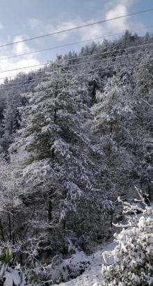 小寨天坑风景区17