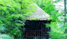 天赐华汤森林温泉(重庆璧山店)5